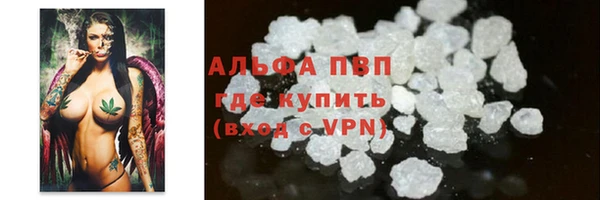 spice Усинск